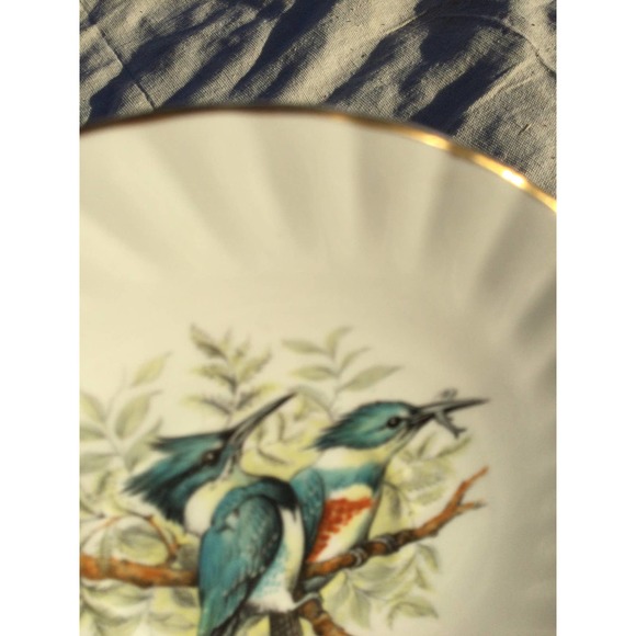 Vintage Queen’s Rosina birds of america 1 belted kingfisher cup saucer England - Picture 6 of 8